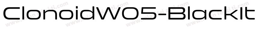 ClonoidW05-BlackItalic Regular字体转换